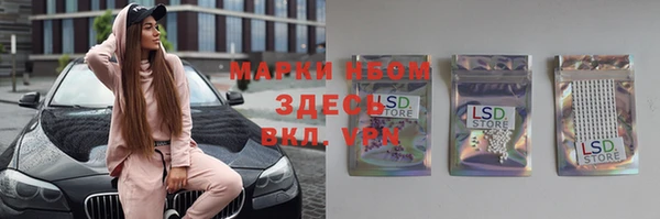 PSILOCYBIN Алзамай