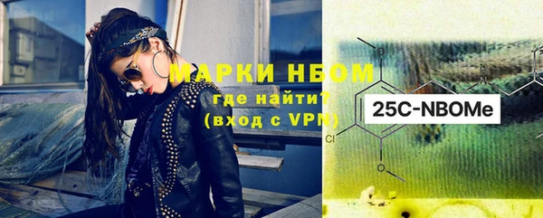 PSILOCYBIN Алзамай