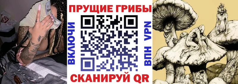 hydra ССЫЛКА  цена наркотик  Неман  Псилоцибиновые грибы прущие грибы 